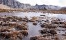 nepal-9219.jpg - 